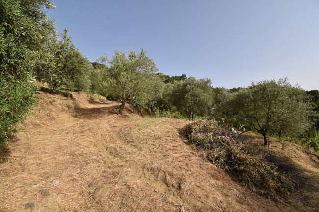 Terreno agricolo in vendita a Linguaglossa (CT)