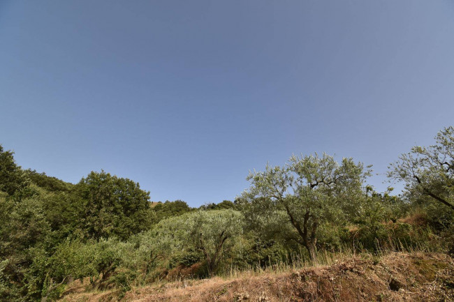 Terreno agricolo in vendita a Linguaglossa (CT)