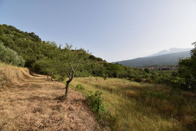 Terreno agricolo in vendita a Linguaglossa (CT)