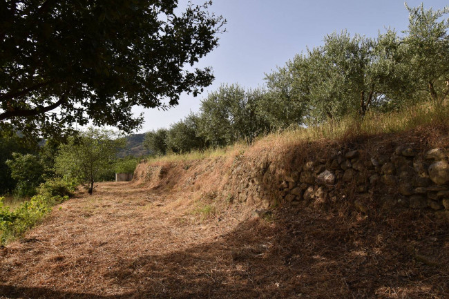 Terreno agricolo in vendita a Linguaglossa (CT)