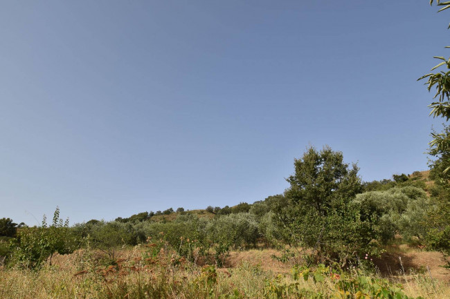 Terreno agricolo in vendita a Linguaglossa (CT)