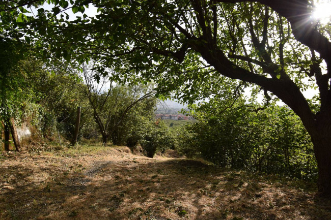 Terreno agricolo in vendita a Linguaglossa (CT)