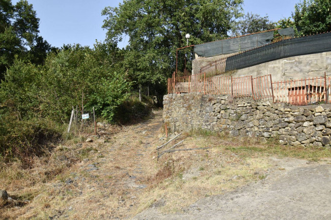 Terreno agricolo in vendita a Linguaglossa (CT)