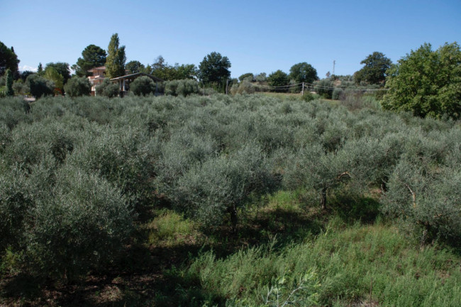 Villa in vendita a Sant'angelo Romano (RM)