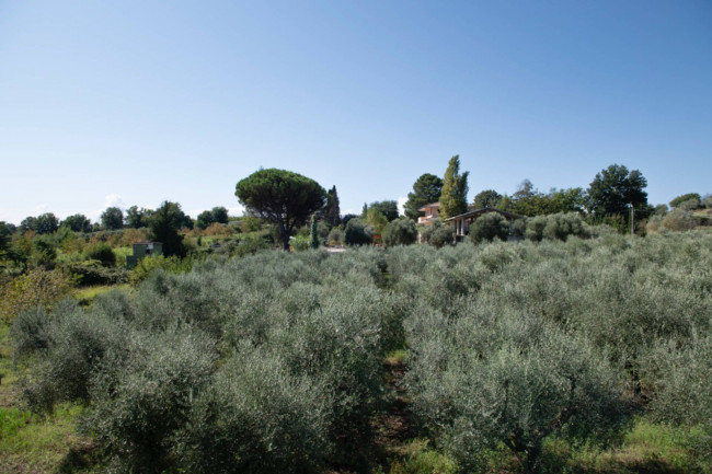 Villa in vendita a Sant'angelo Romano (RM)