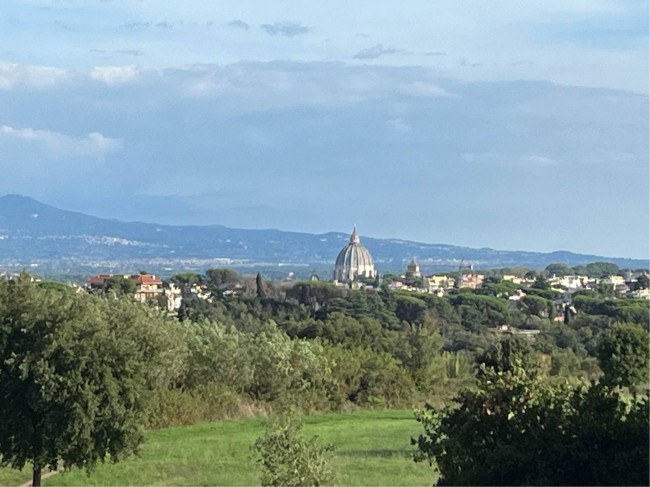 Appartamento in vendita a Pineta Sacchetti, Roma (RM)