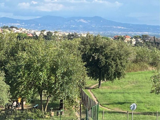 Appartamento in vendita a Pineta Sacchetti, Roma (RM)