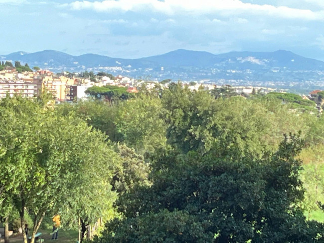 Appartamento in vendita a Pineta Sacchetti, Roma (RM)