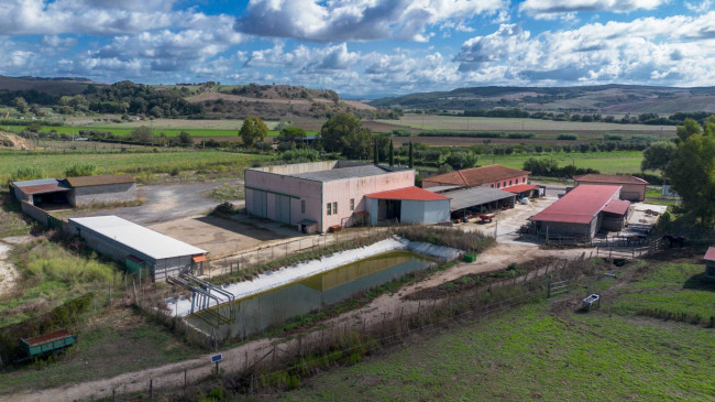 Capannone in vendita a Tarquinia (VT)