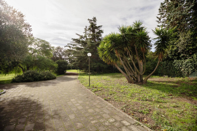 Villa in vendita a Castel Di Guido, Roma (RM)