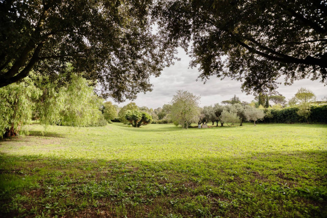 Villa in vendita a Castel Di Guido, Roma (RM)