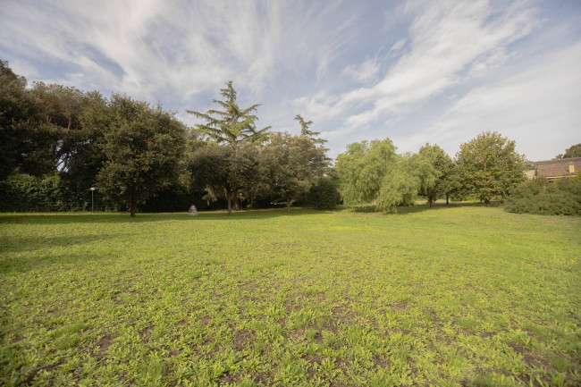 Villa in vendita a Castel Di Guido, Roma (RM)