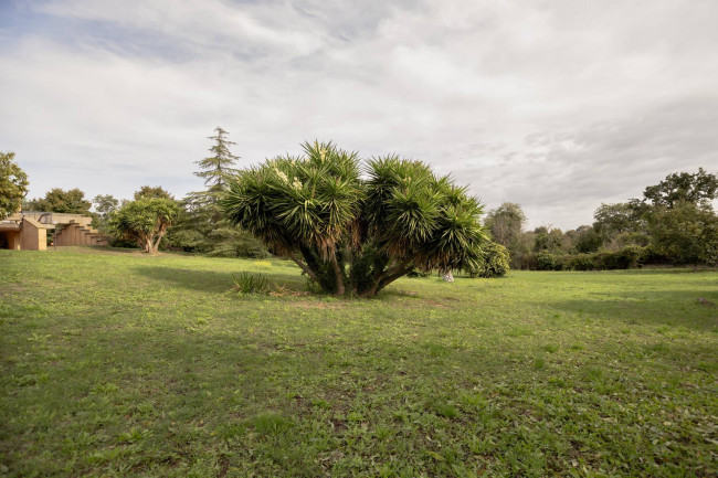 Villa in vendita a Castel Di Guido, Roma (RM)