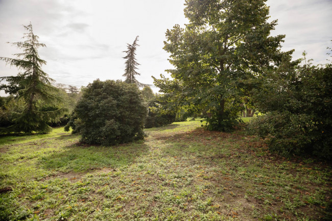 Villa in vendita a Castel Di Guido, Roma (RM)