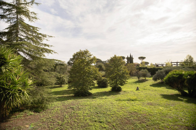 Villa in vendita a Castel Di Guido, Roma (RM)