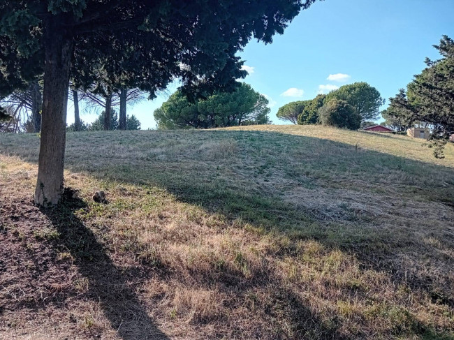 Terreno agricolo in vendita a Sutri (VT)