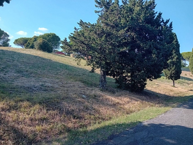 Terreno agricolo in vendita a Sutri (VT)