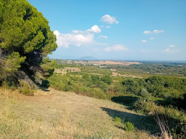 Terreno agricolo in vendita a Sutri (VT)