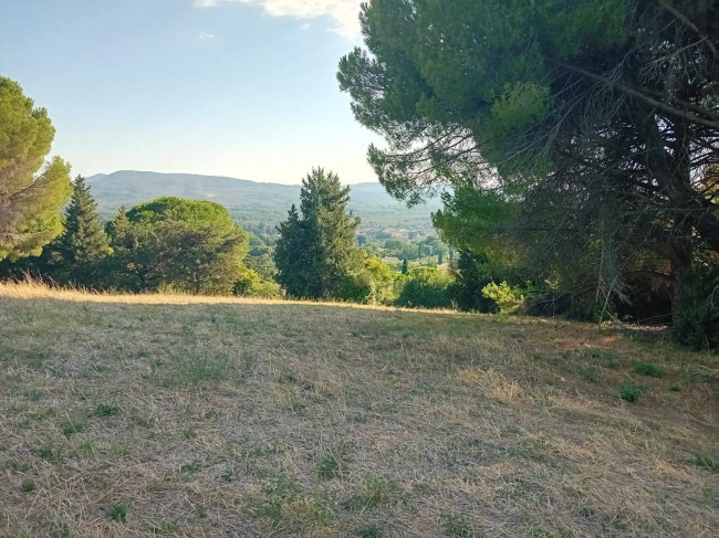 Terreno agricolo in vendita a Sutri (VT)