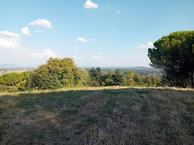 Terreno agricolo in vendita a Sutri (VT)