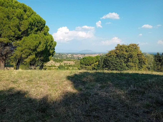 Terreno agricolo in vendita a Sutri (VT)