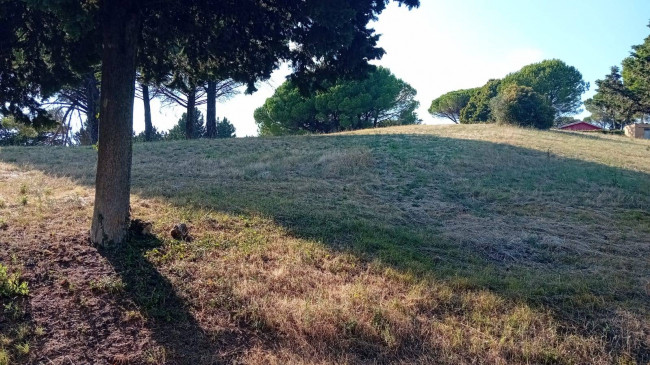 Terreno agricolo in vendita a Sutri (VT)