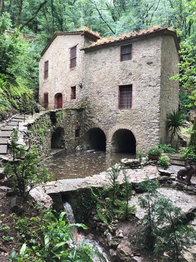 Rustico/Casale/Corte in vendita a Camaiore