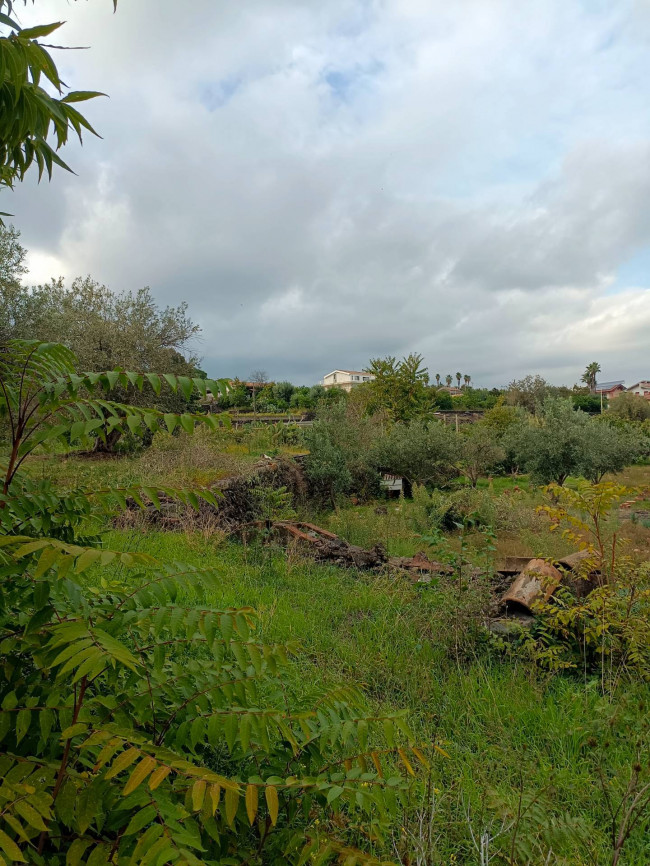 Terreno agricolo in vendita a Acireale (CT)