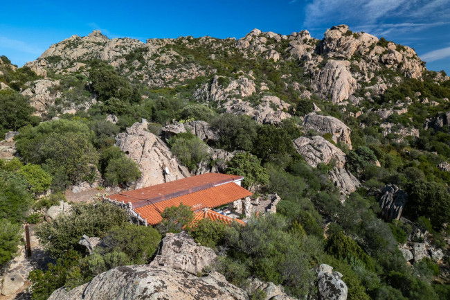 Villa in vendita a Olbia (SS)