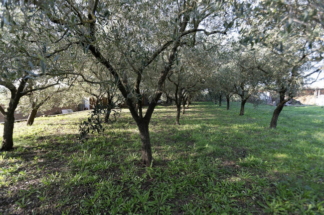 Appartamento in vendita a Vitorchiano (VT)