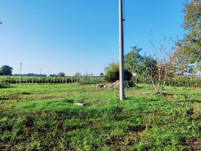 Rustico in vendita a Canino (VT)