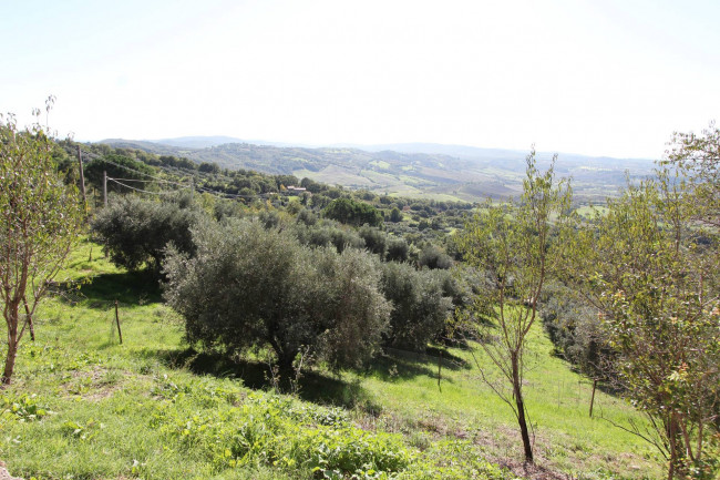 Casa indipendente in vendita a Poggio Murella, Manciano (GR)