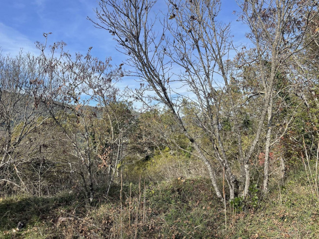 Rustico in vendita a Cerreto Di Spoleto (PG)