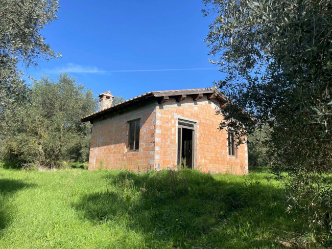 Terreno agricolo in vendita a Viterbo (VT)