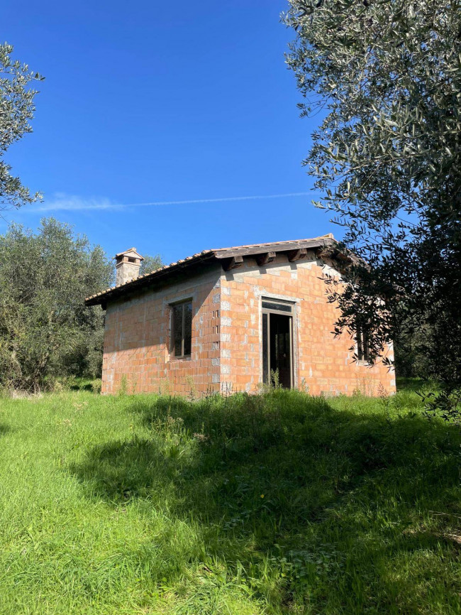 Terreno agricolo in vendita a Viterbo (VT)