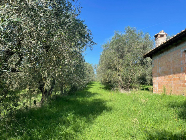 Terreno agricolo in vendita a Viterbo (VT)