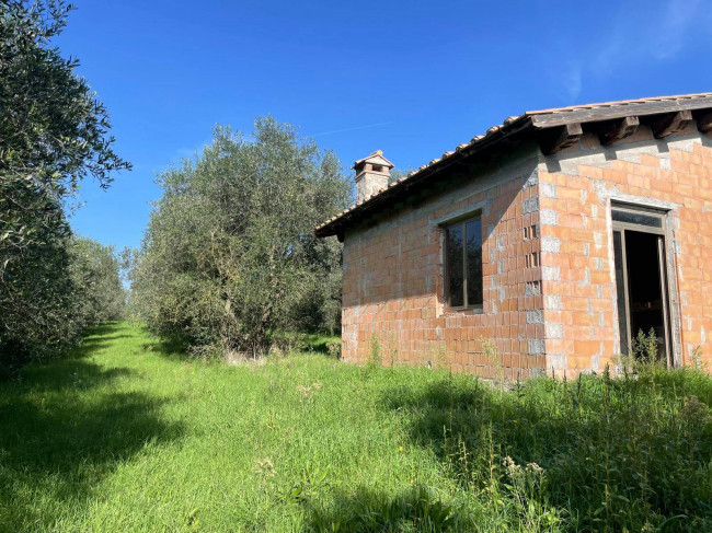 Terreno agricolo in vendita a Viterbo (VT)