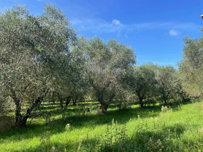 Terreno agricolo in vendita a Viterbo (VT)