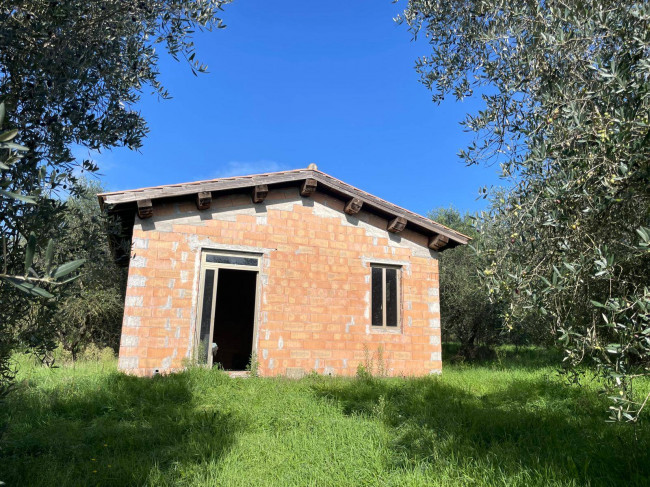 Terreno agricolo in vendita a Viterbo (VT)