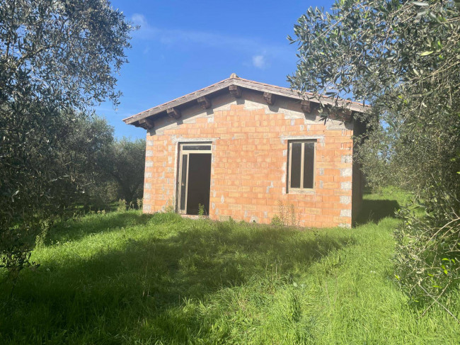 Terreno agricolo in vendita a Viterbo (VT)