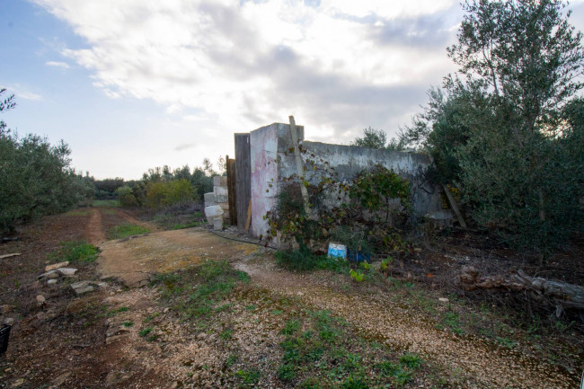 Terreno agricolo in vendita a San Vito Dei Normanni (BR)