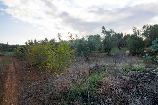 Terreno agricolo in vendita a San Vito Dei Normanni (BR)