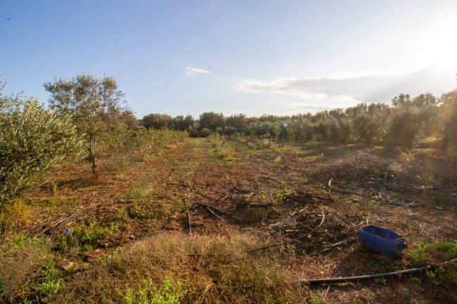 Terreno agricolo in vendita a San Vito Dei Normanni (BR)