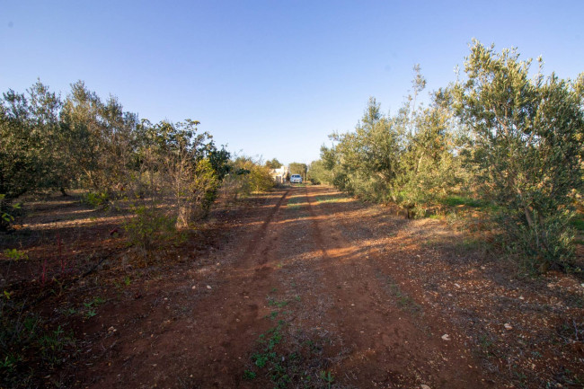 Terreno agricolo in vendita a San Vito Dei Normanni (BR)