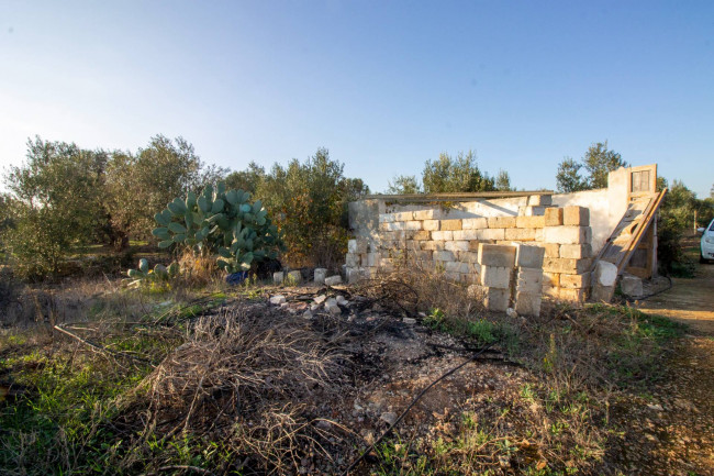 Terreno agricolo in vendita a San Vito Dei Normanni (BR)