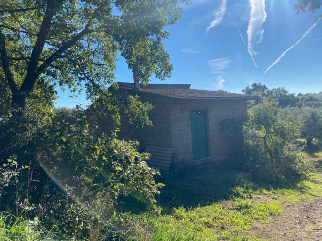 Terreno agricolo in vendita a Vetralla (VT)