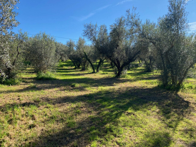 Terreno agricolo in vendita a Vetralla (VT)