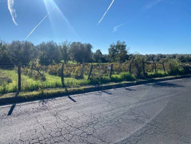 Terreno agricolo in vendita a Vetralla (VT)