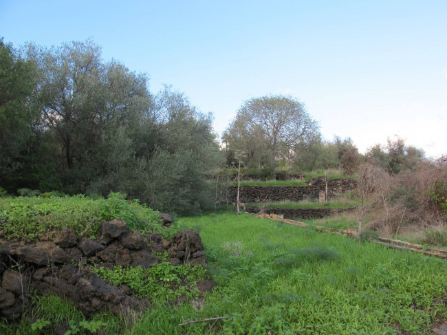 Terreno agricolo in vendita a Cannizzaro, Aci Castello (CT)