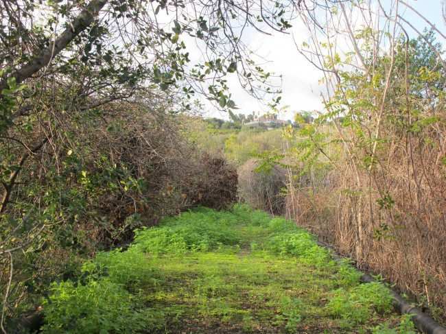 Terreno agricolo in vendita a Cannizzaro, Aci Castello (CT)